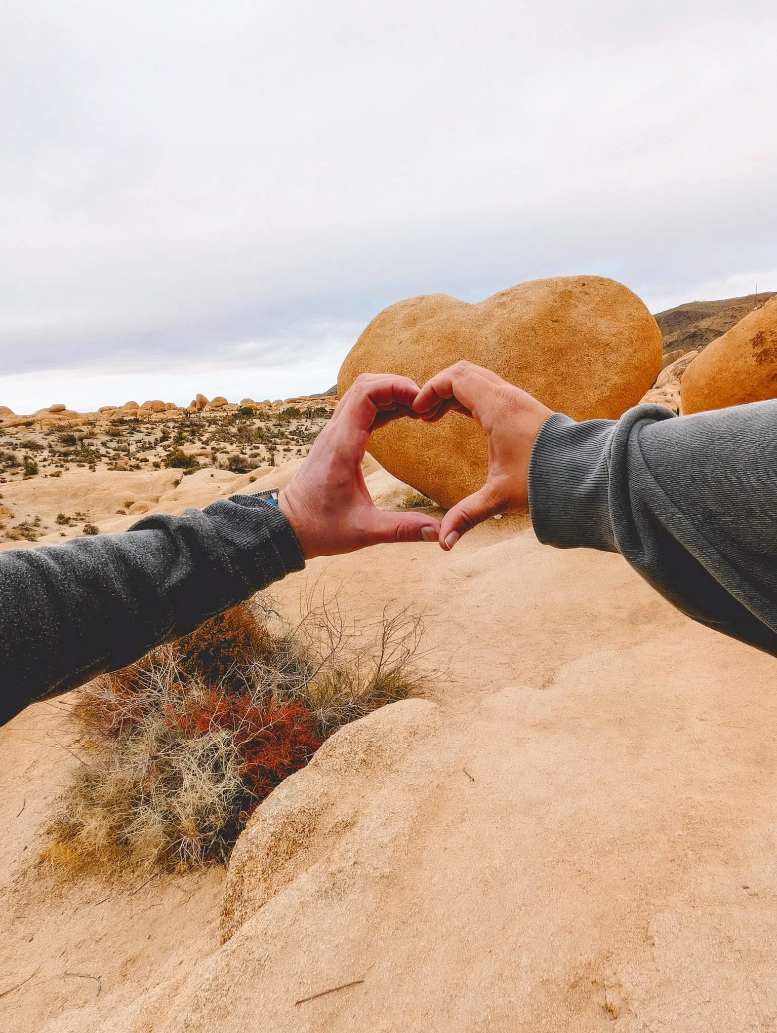 My Unwavering Love for Joshua Tree: An Intimate Narrative &amp; Guide for Joshua Tree, California