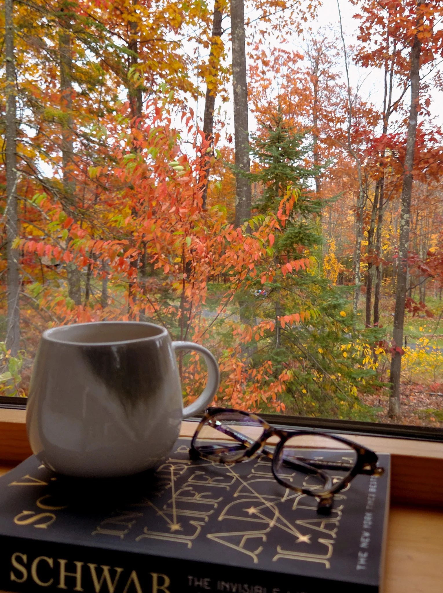 Fall Reading Guide: 8 Books Perfect To Cozy Up With