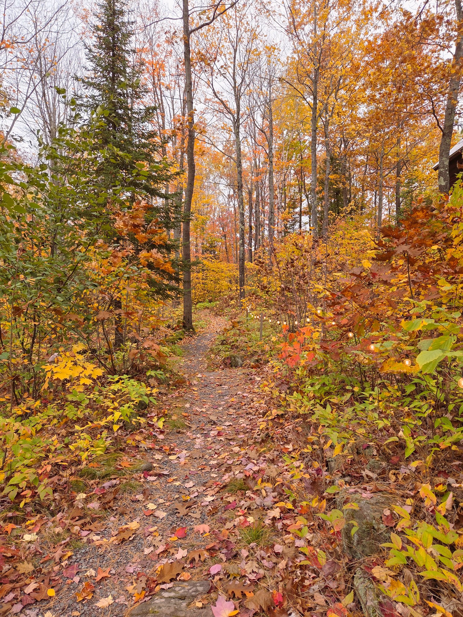 9 Destinations for Stunning Fall Leaves in the US