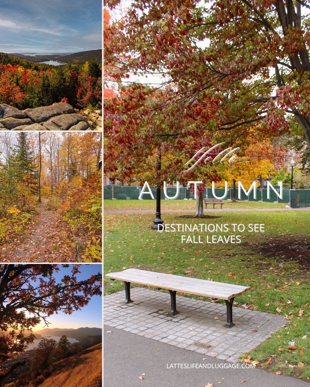 There&rsquo;s nothing quite like leaves changing in the height of autumn. The short window when fall colors peak is coveted for seasonal travel and road trips through parts of the US, including Acadia National Park, the Great Lakes, and the Blue Ridg