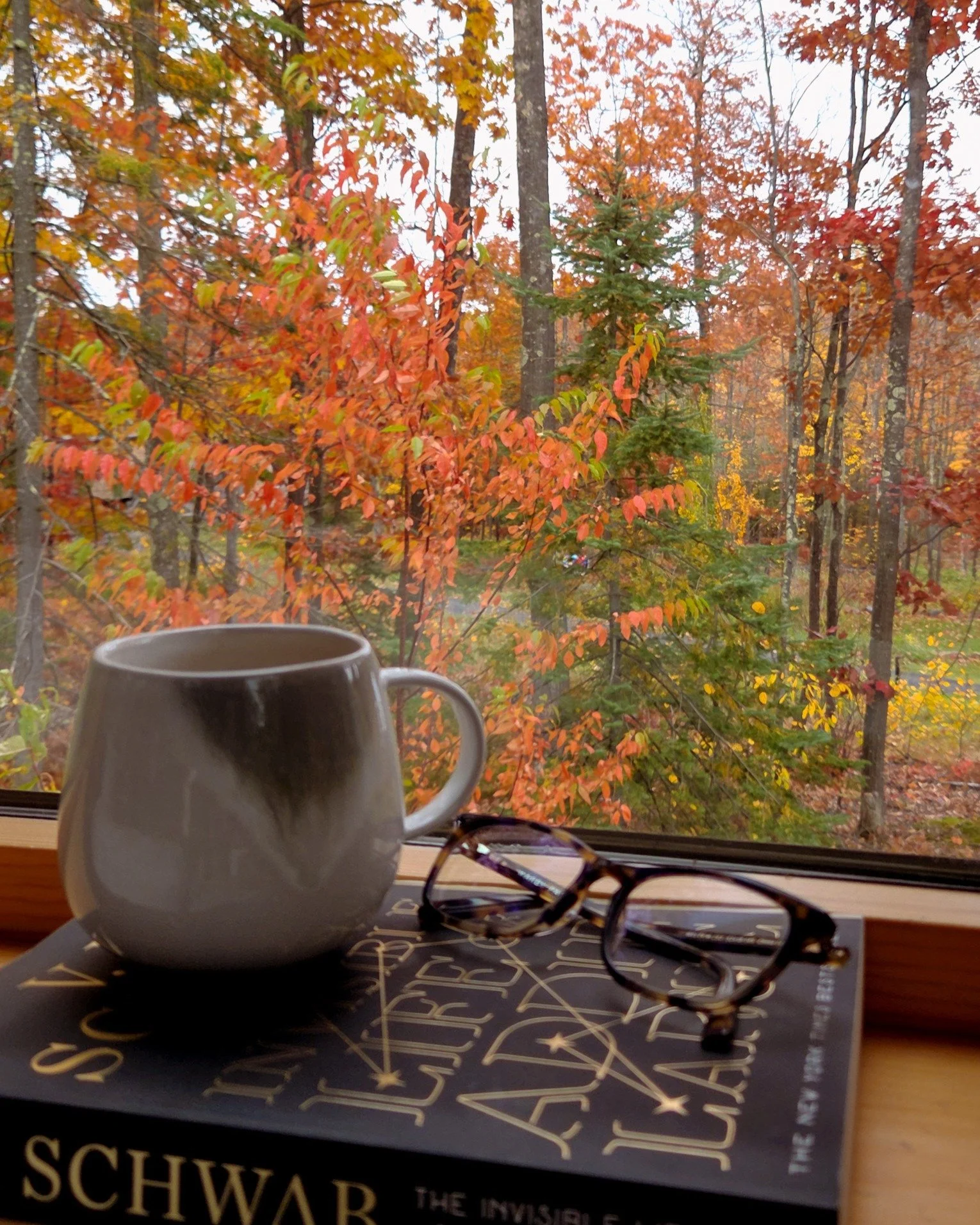 A cozier season means times to dig into that TBR pile that's been building up.

From rom-coms with fall vibes to gripping memoirs, we've put together a list of book recommendations to kick your reading habit off right this season. 

See the full list