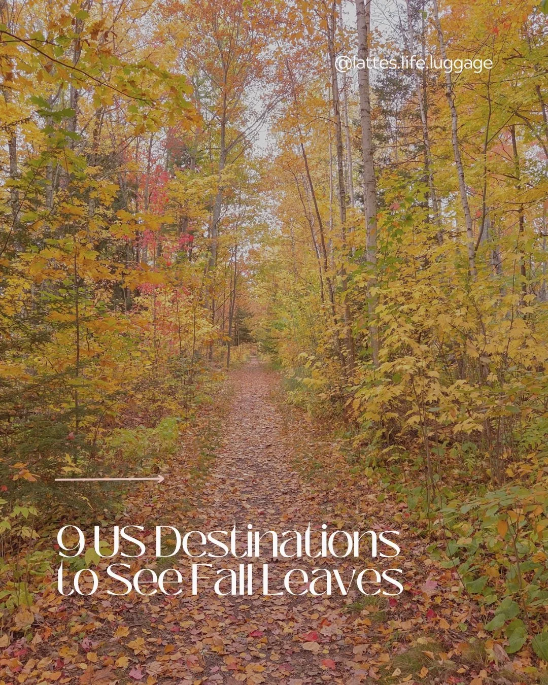 One of the best parts of fall is seeing the leaves change.

Vibrant hues of red, orange, and yellow blanket hills and regions as the weather turns colder and the days grow shorter. 

Any fall trip should be full of these colors, slow days exploring, 