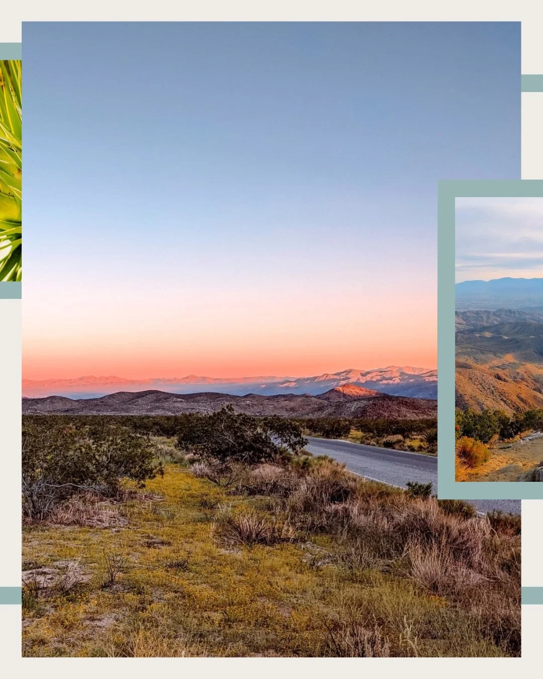 Guide to Joshua Tree (Part 4): JT National Park Must-Sees + Trails

Add these recommendations from Lattes contributor @itskelliwithani to your next visit to Joshua Tree, California! 

🌵 The JT National Park Association Store, located outside the par