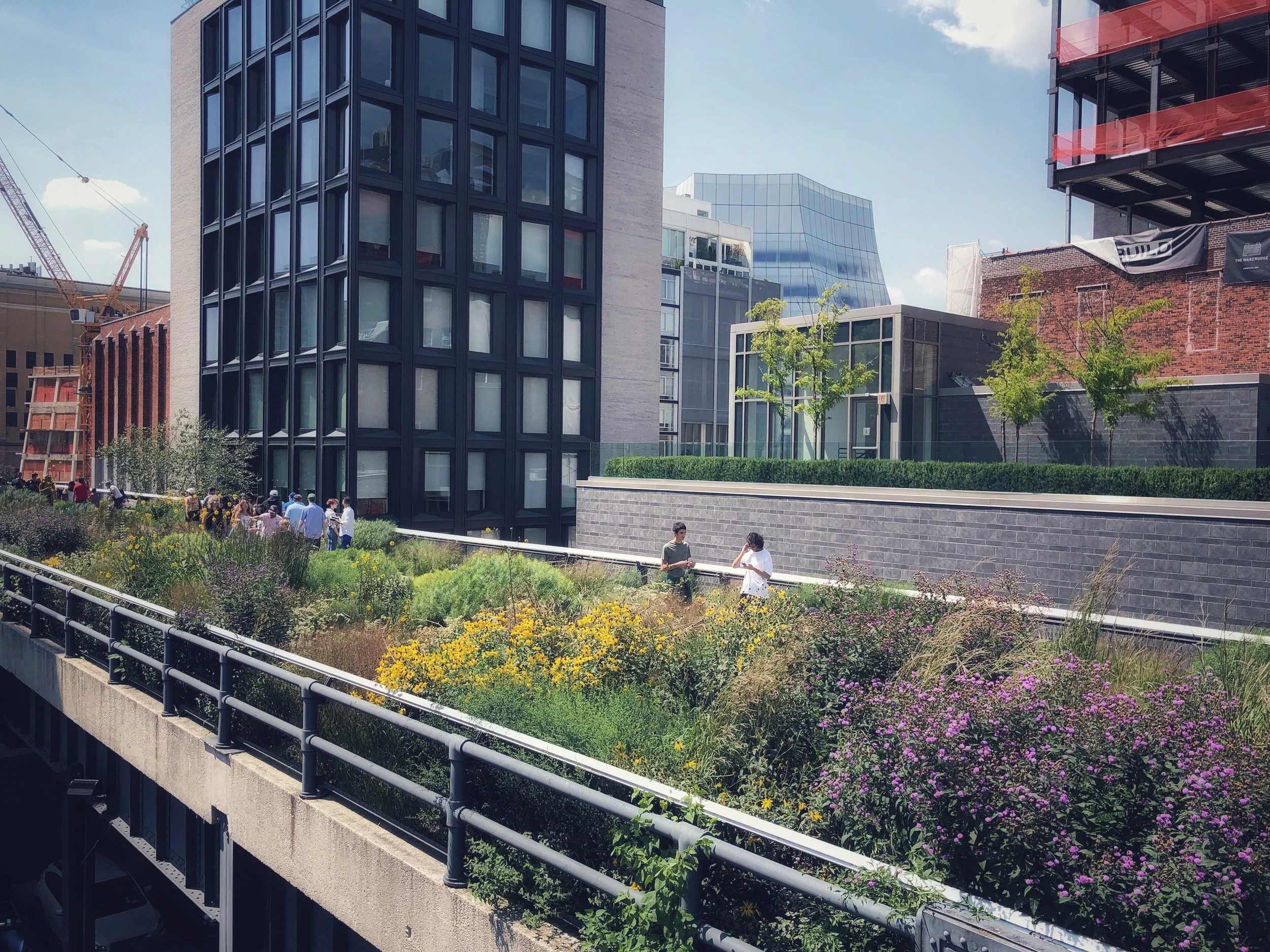 highline nyc.jpg