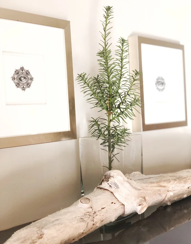 subtle christmas decor.jpg