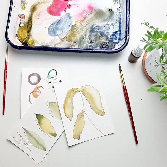 Getting started with Modern Watercolor Painting is what I hear often from my students. I&rsquo;m a big believer of breaking down techniques and working on fun projects so you have success right away as you learn. Having the courage to get started is 