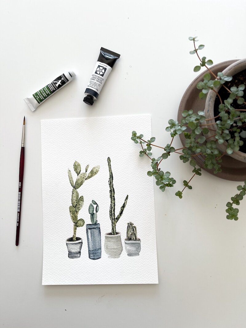 cactus watercolor painting nicki traikos.jpg