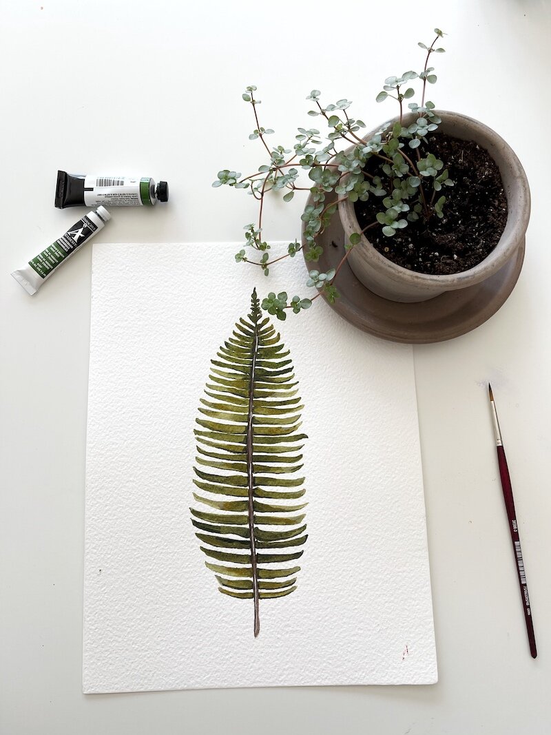 fern watercolor life i design.jpg