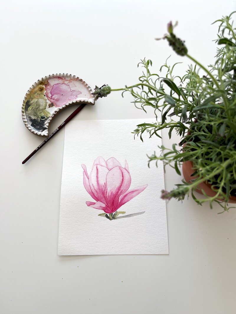 magnolia watercolor by nicki traikos.jpg