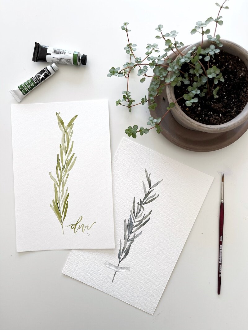 olive branch watercolor life i design.jpg