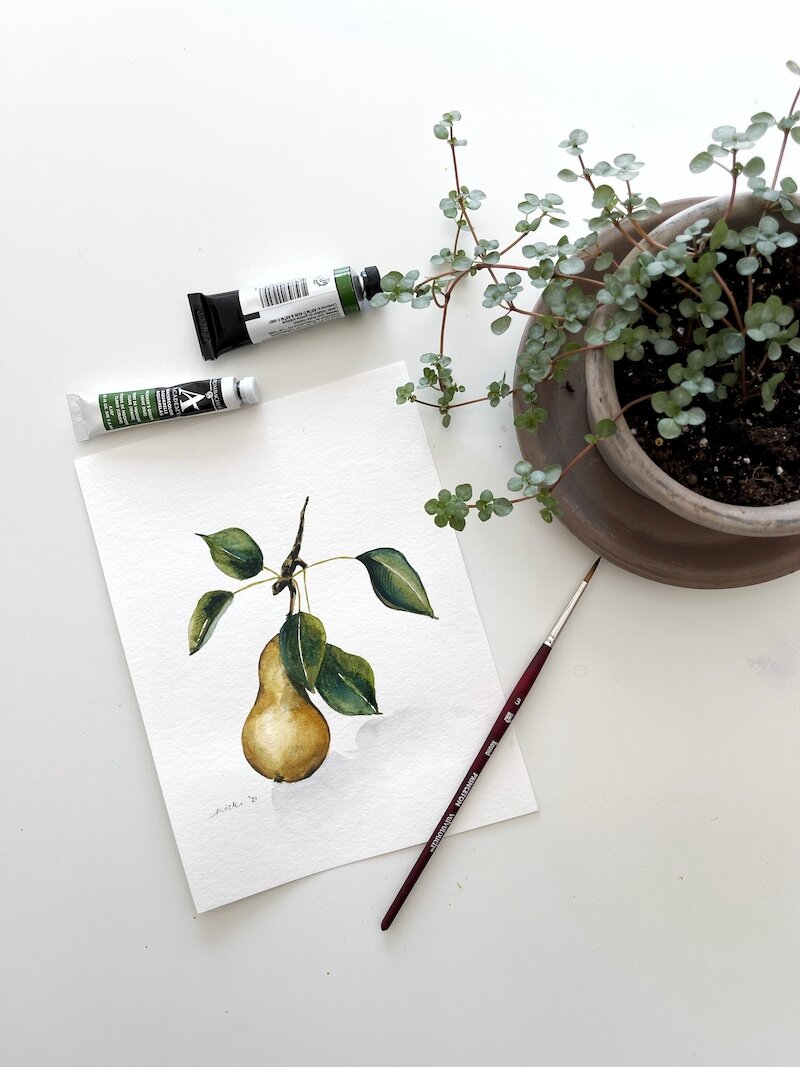 pear watercolor by nicki traikos.jpg