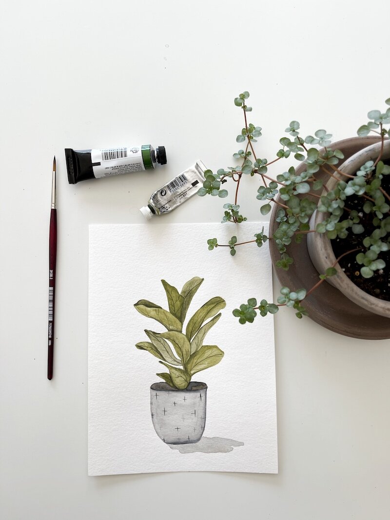 watercolor house plant life i design.jpg