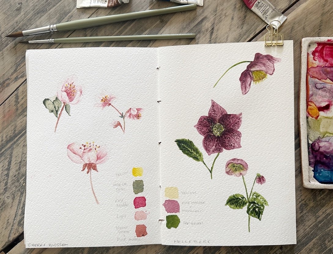 Trace and Paint Nature Book - up your watercolor game! — Nicki Traikos, life i design