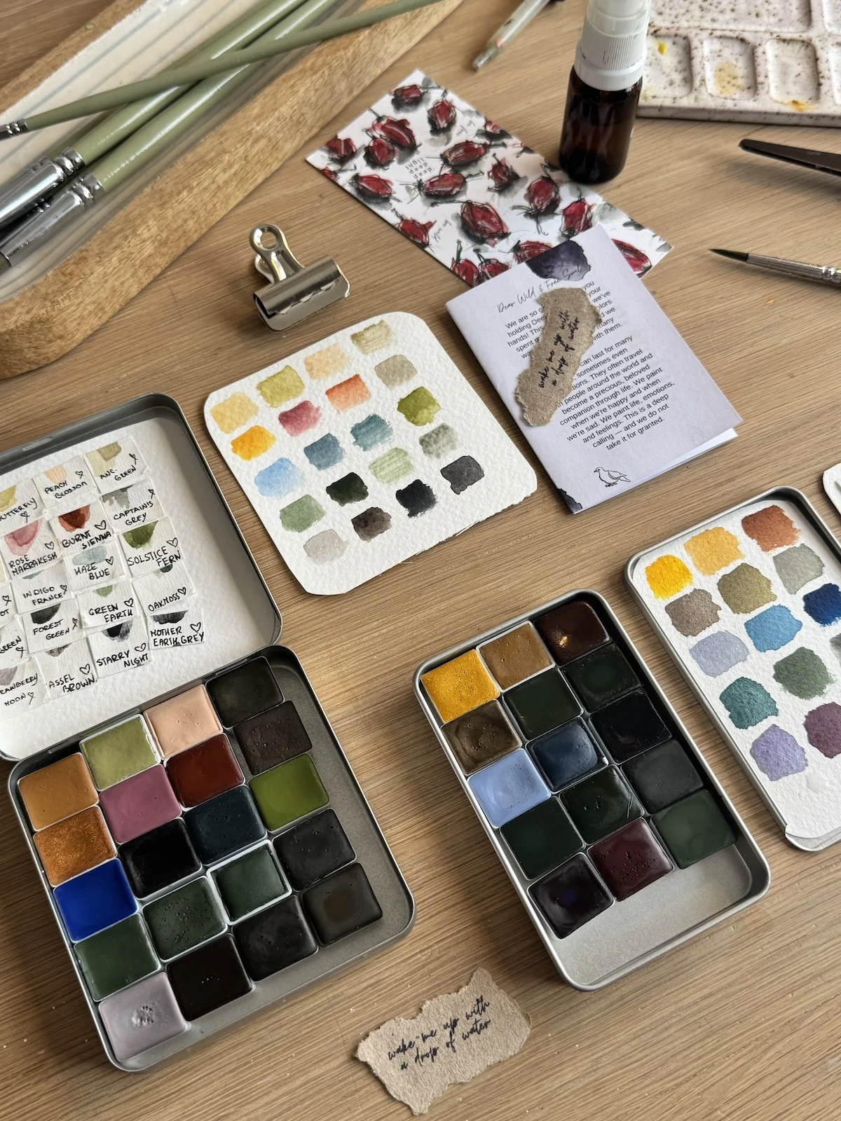 A Paint That Travels With Me 