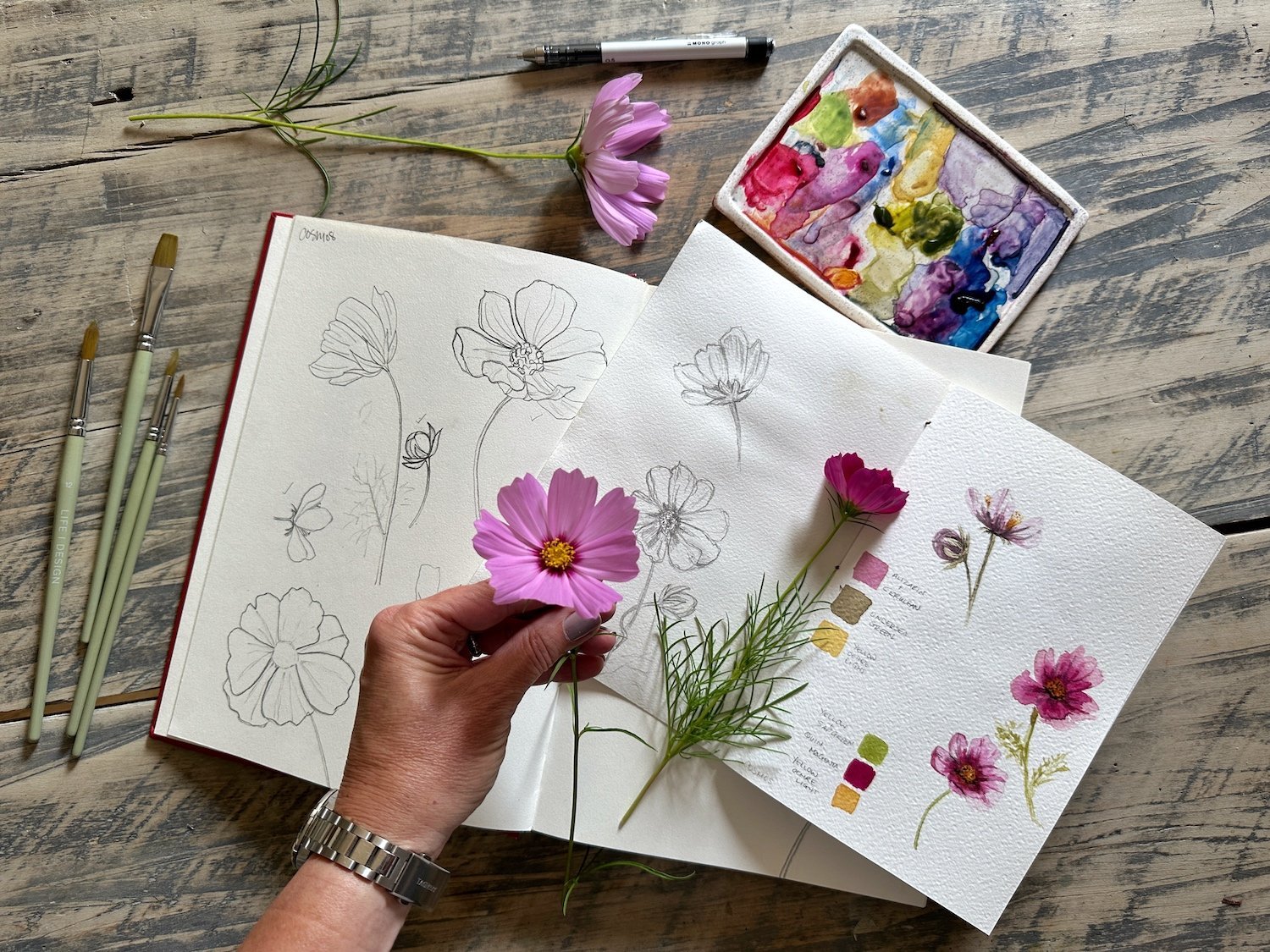 Sketch & Paint: New Watercolor E-book by Nicki Traikos — Nicki Traikos, life i design