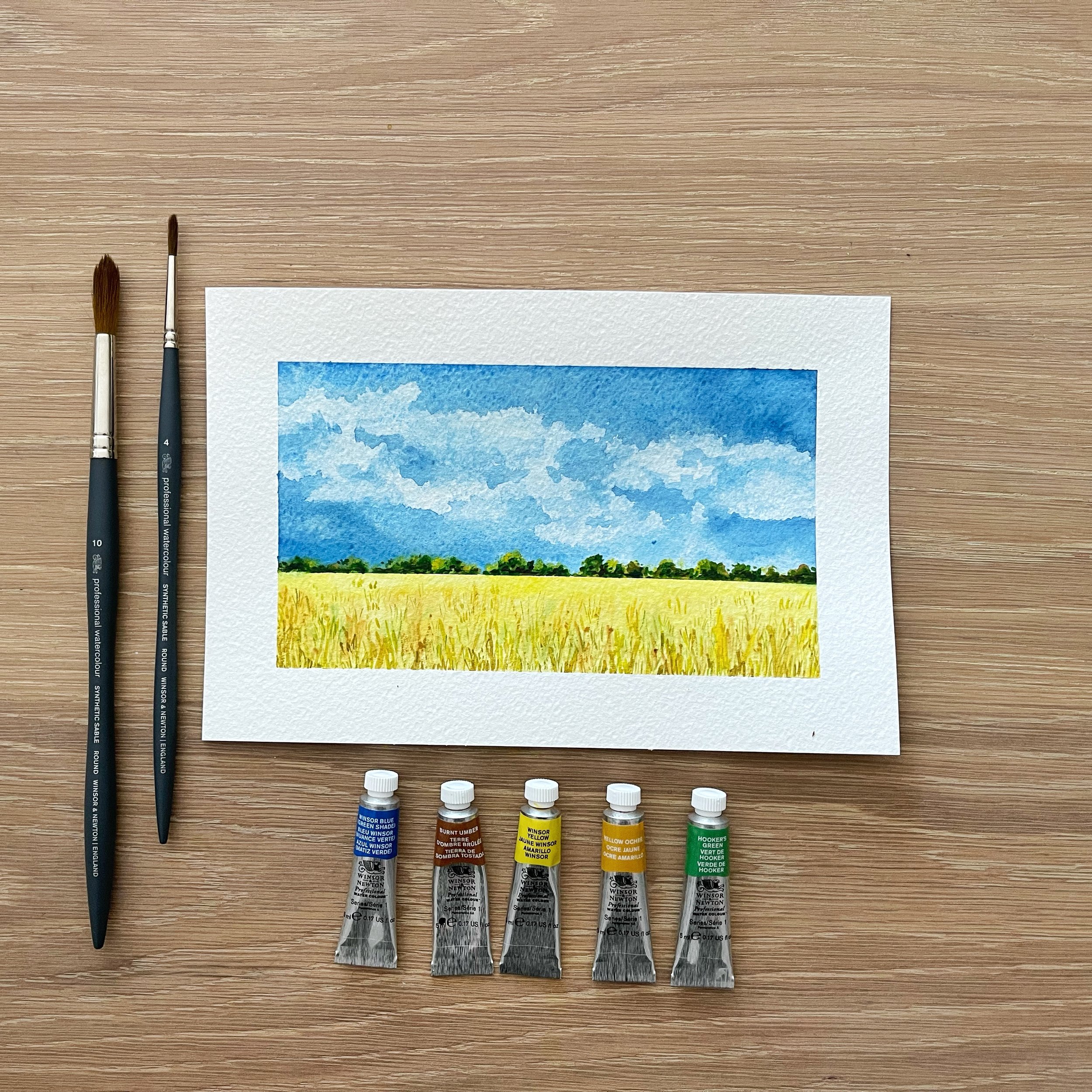 The Watercolour Log: Winsor and Newtons Artists Watercolours