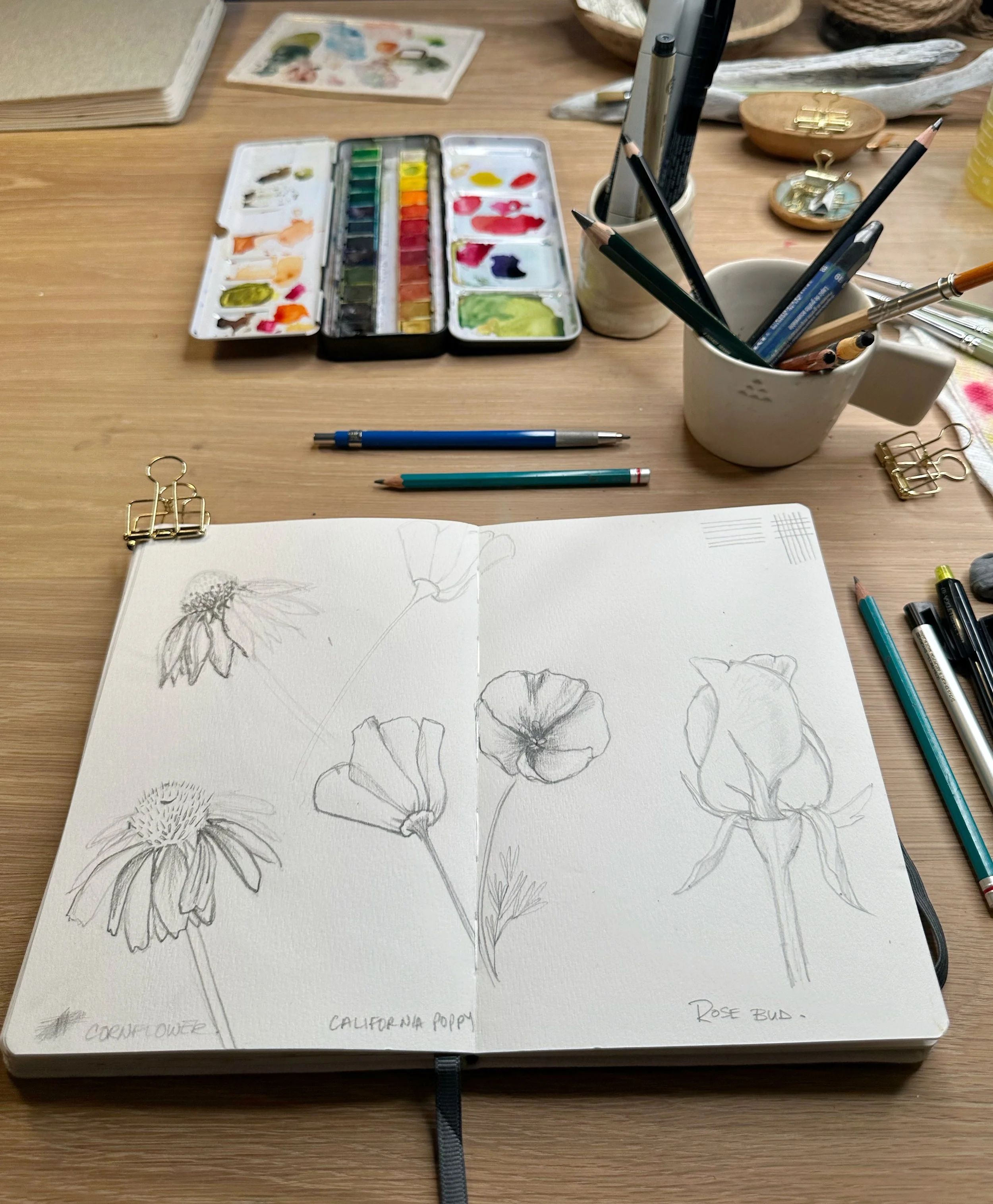 Drawing For Beginners