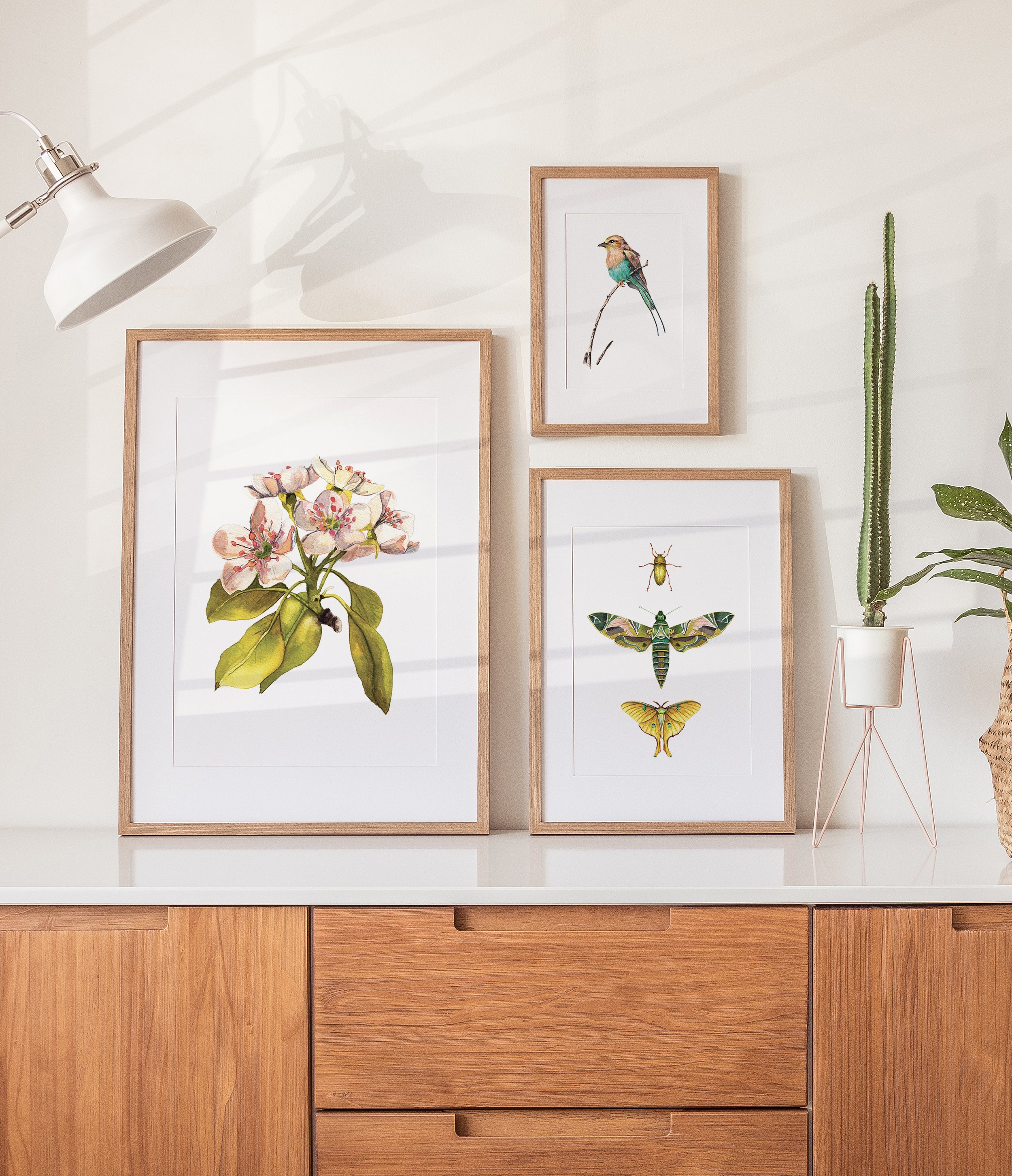 Blog — Nicki Traikos, life i design