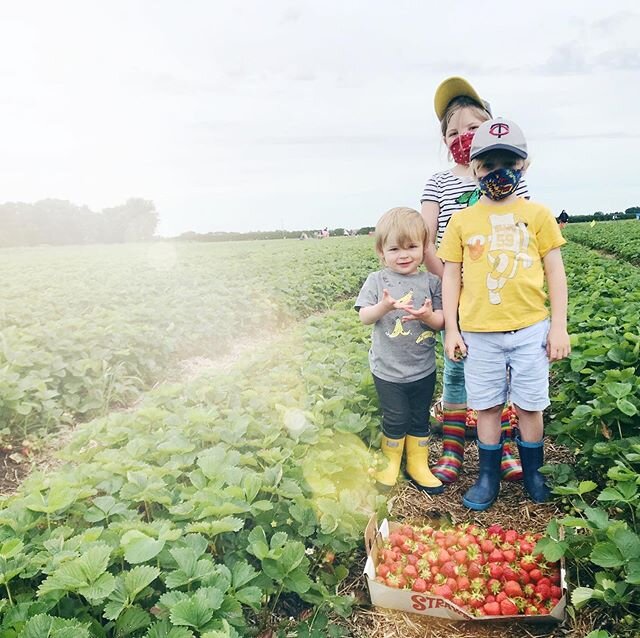 We picked strawberries.

And I want to leave you with some words that are a bit more crafted than that. Maybe a poem about tasting sweetness and soaking up life. Maybe a metaphor on growth and change through the eyes of my children. Maybe a commentar