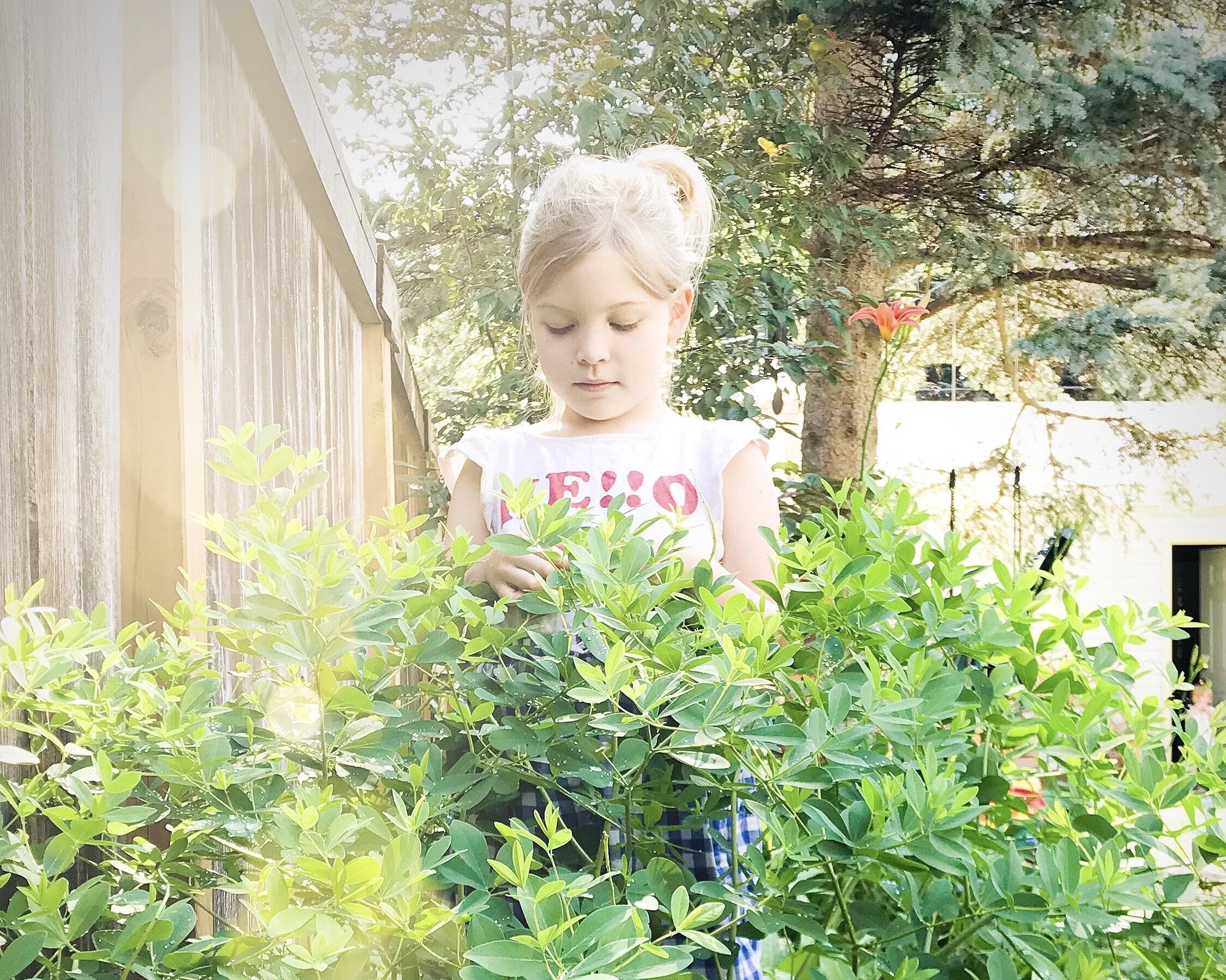 Surprised by Plants and Children and Chocolate Beet Muffins