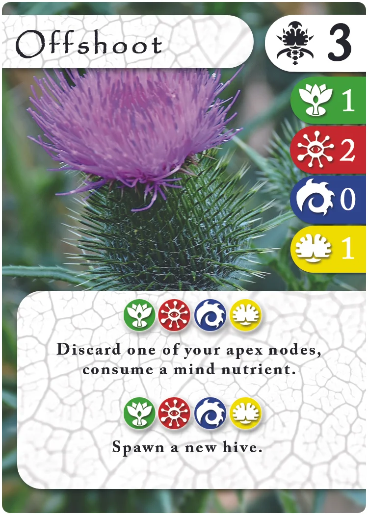 card3 copy.jpg