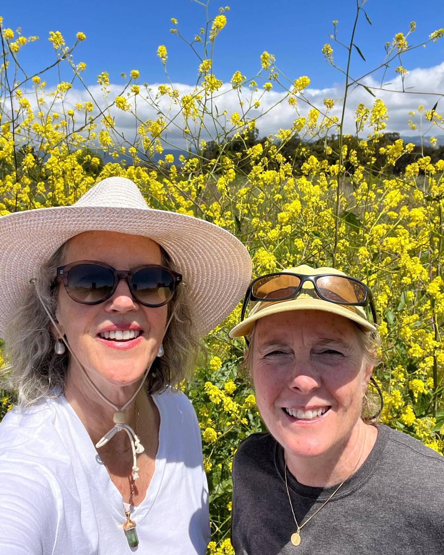 It took 7 miles of walkin&rsquo; and talkin&rsquo; it all out with my friend Sigrid to feel back at peace with the world. I call that major mental health practice! 

*
*

#resilientwomen #meditation #community #santabarbara #goleta #farming #farmlife