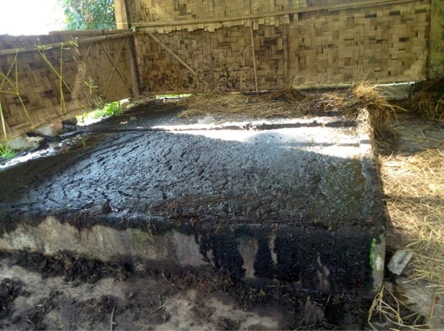 Liquid waste post-fermentation = ready to be used as Nitrogen rich fertiliser!