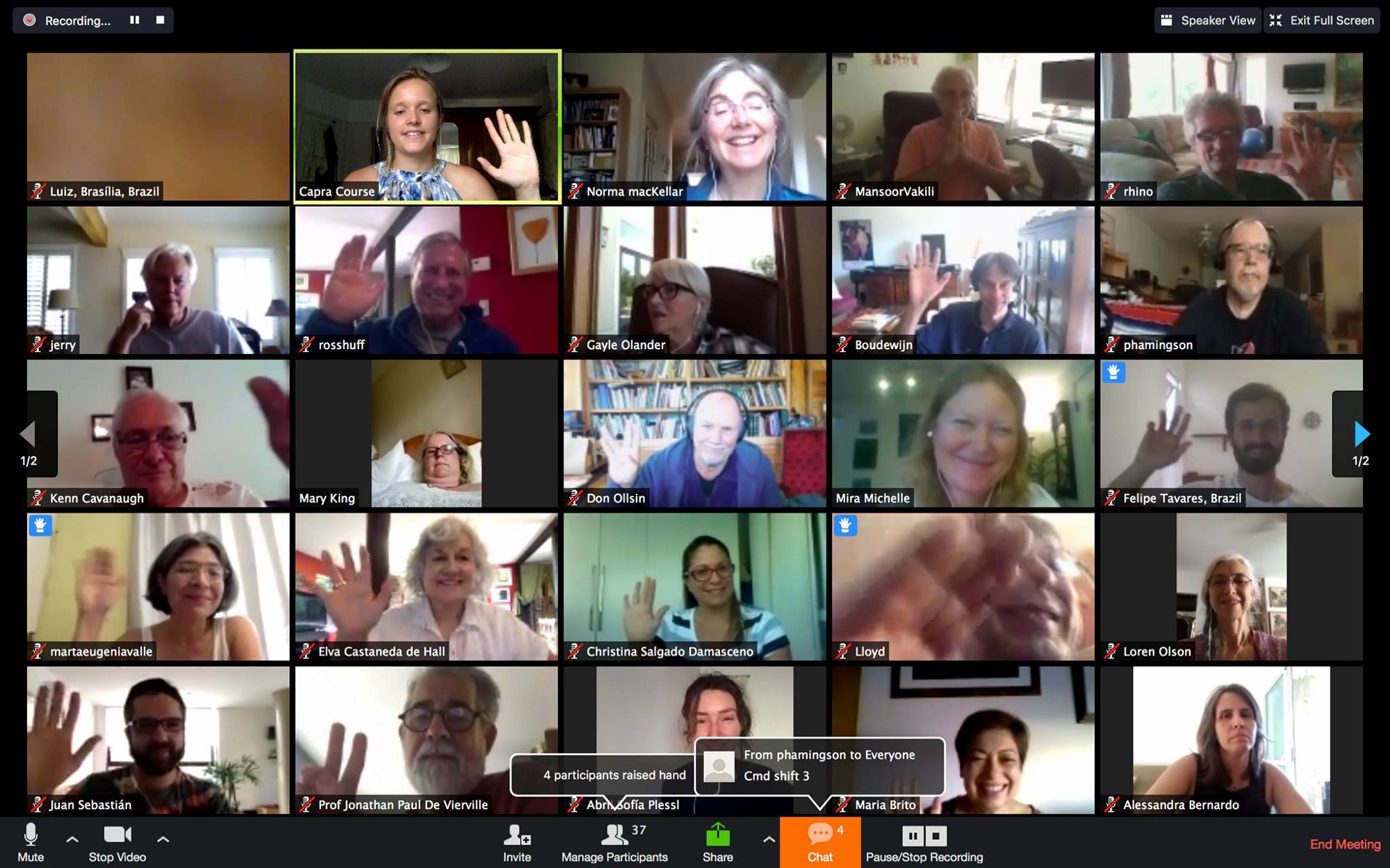 Screenshot from our Global Online Alumni Zoom call.