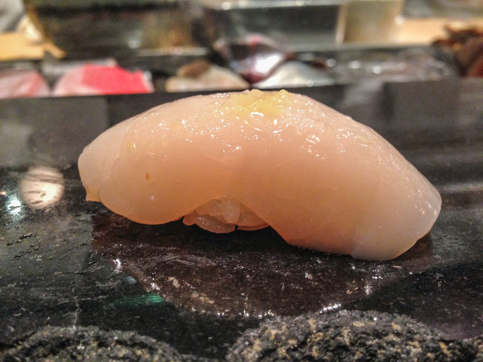 Sea scallop