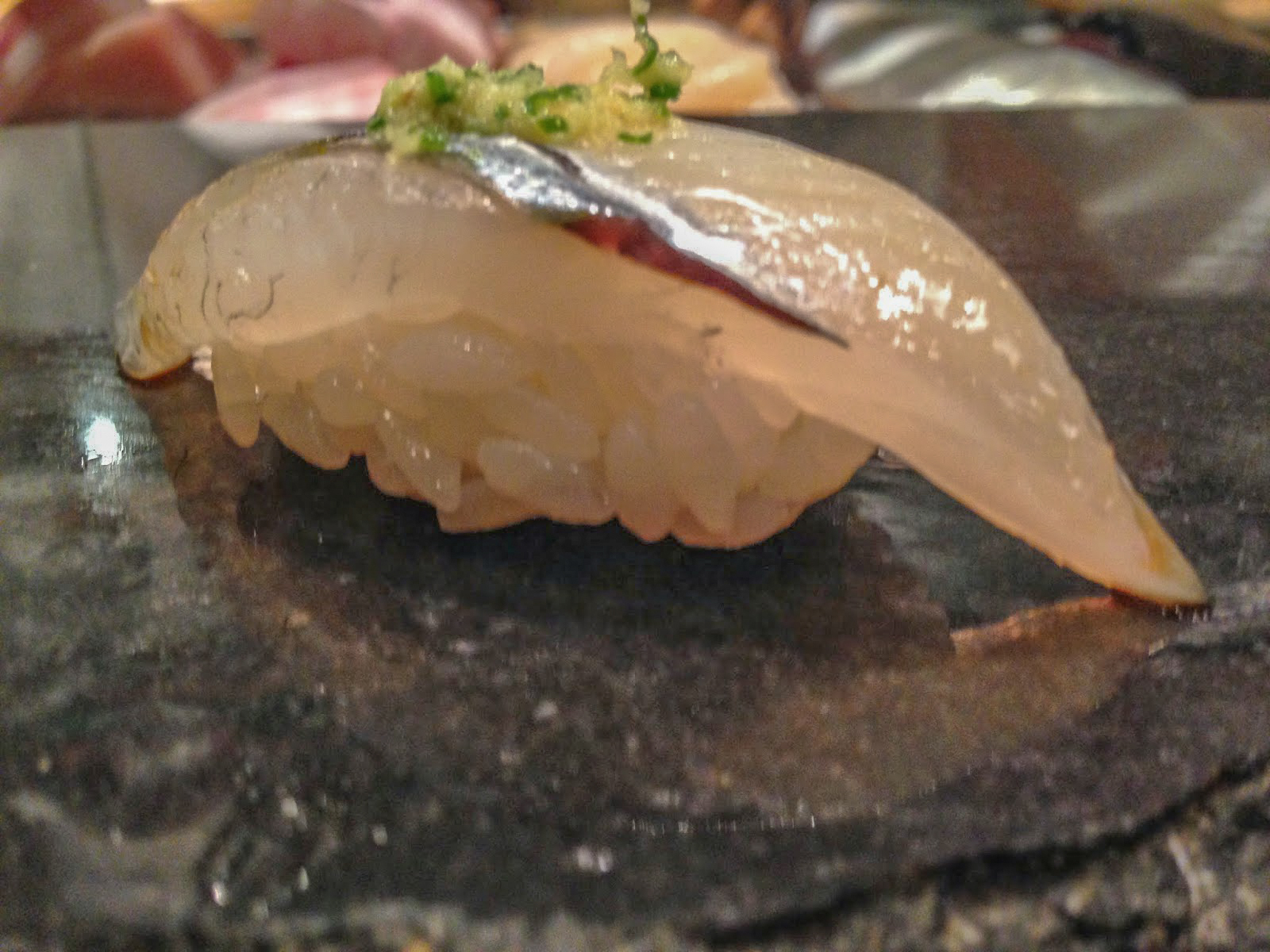 Needle fish