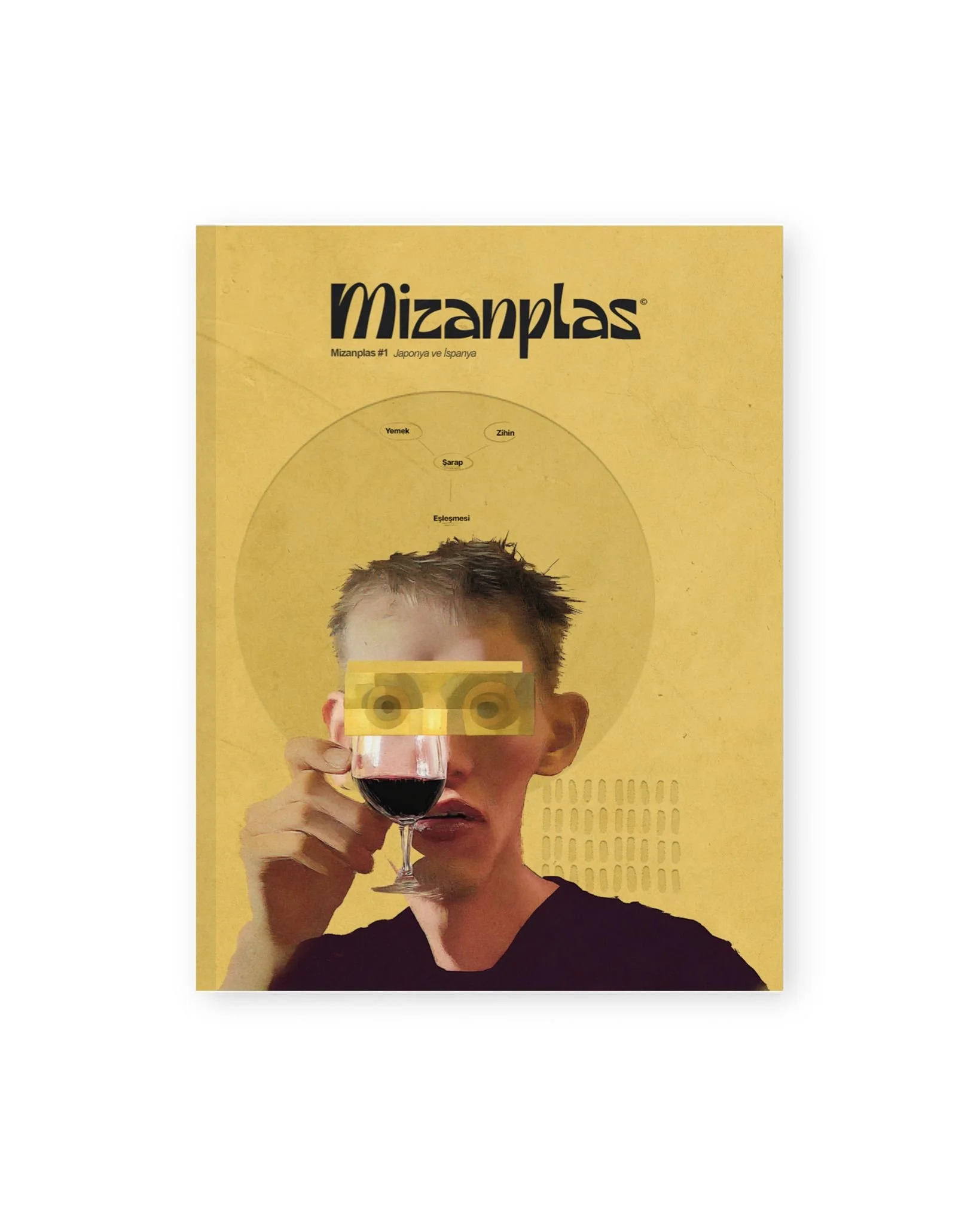 Magazine (English Edition)