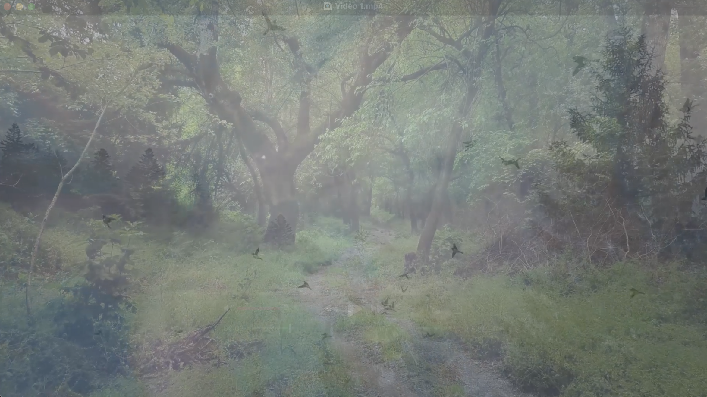 Home Fall Back Image.png