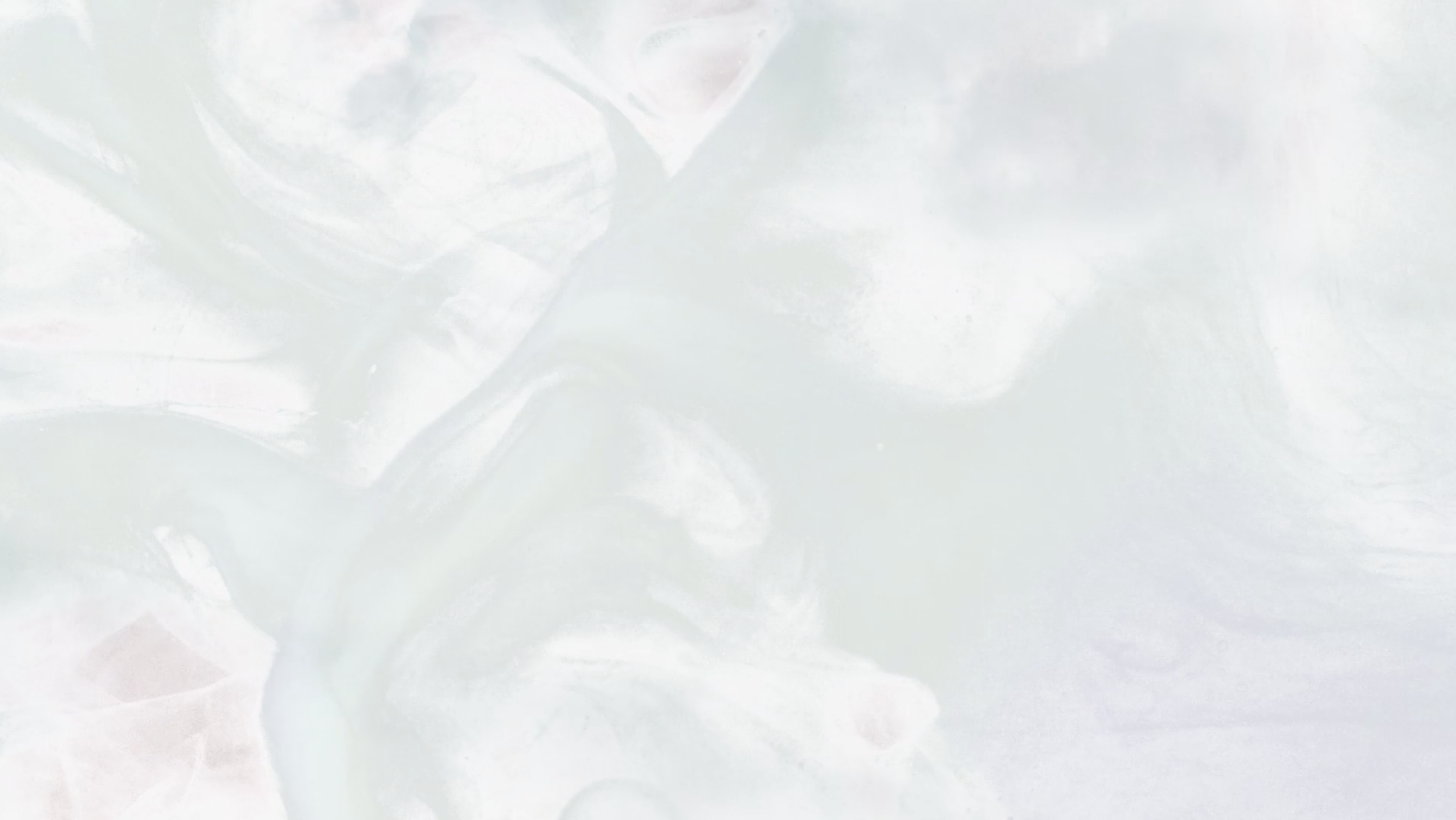 Homepage Video Fallback Image.png