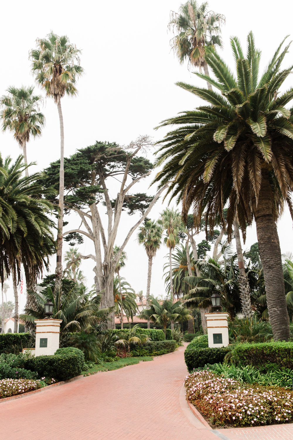 Four+seasons+resort+the+biltmore+entrance+Anna Delores Photography_Amy & Justin 10.28.17-795.jpg