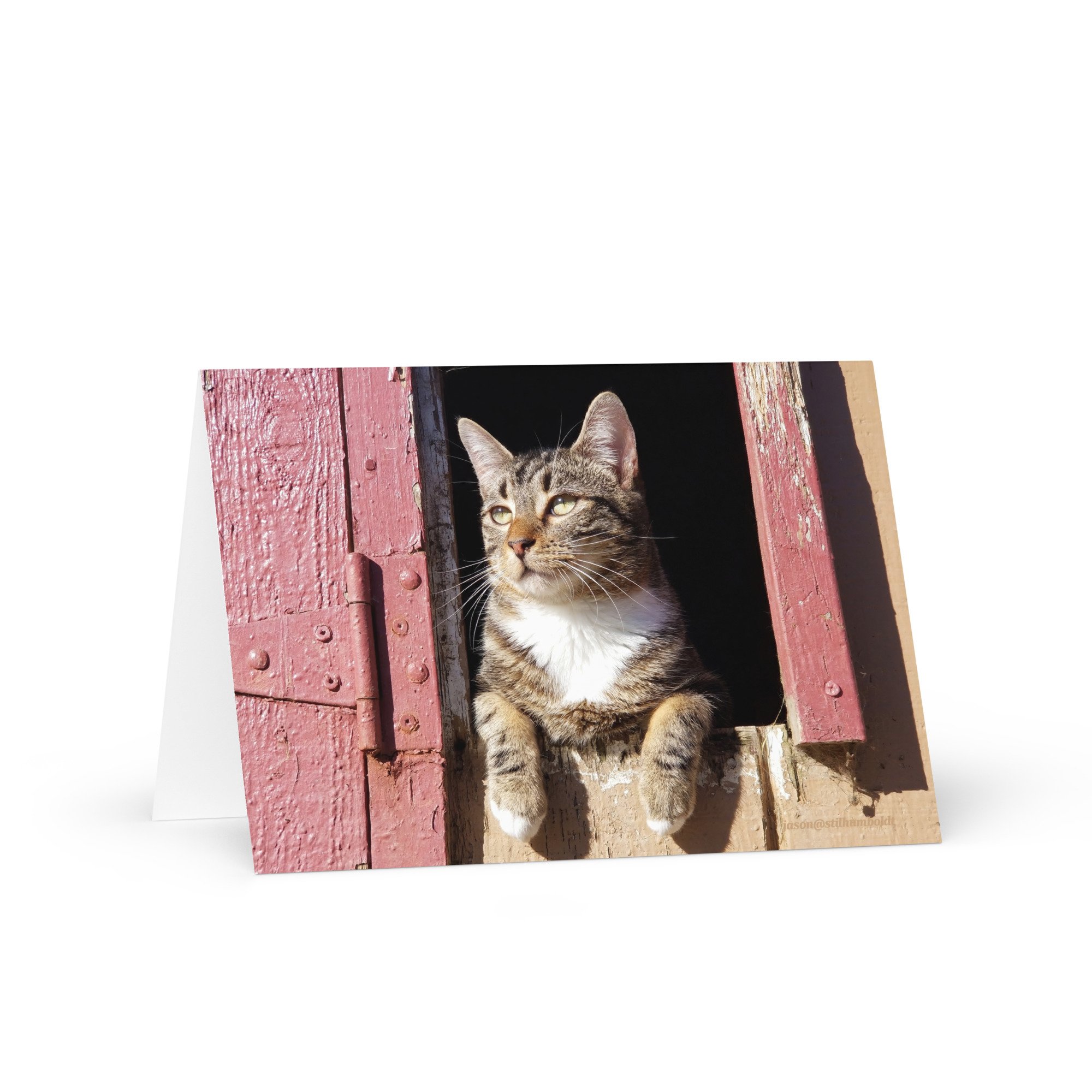 greeting-card-5x7-front-65a26ea4d9808.jpg