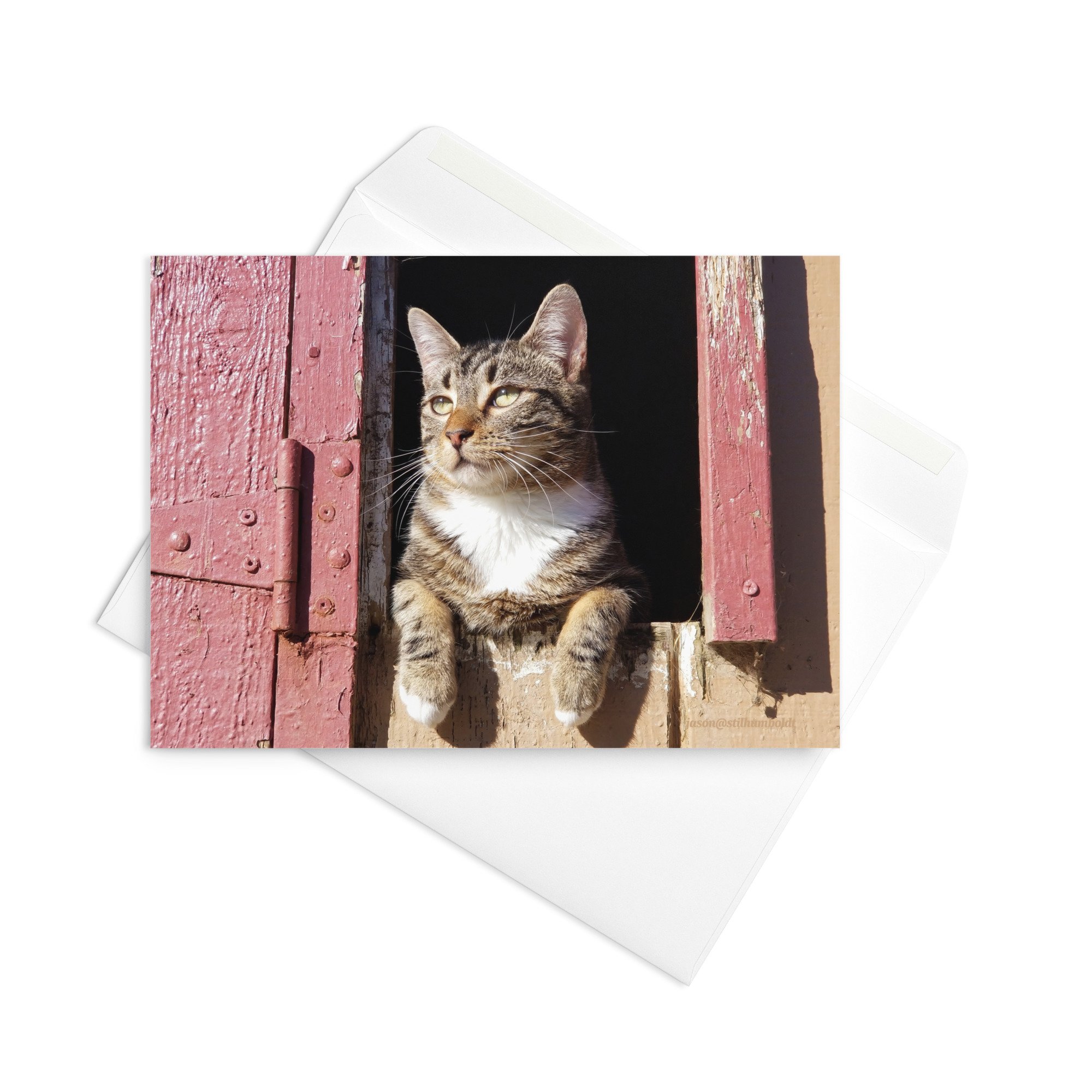 greeting-card-5x7-front-65a26c2e37cf0.jpg