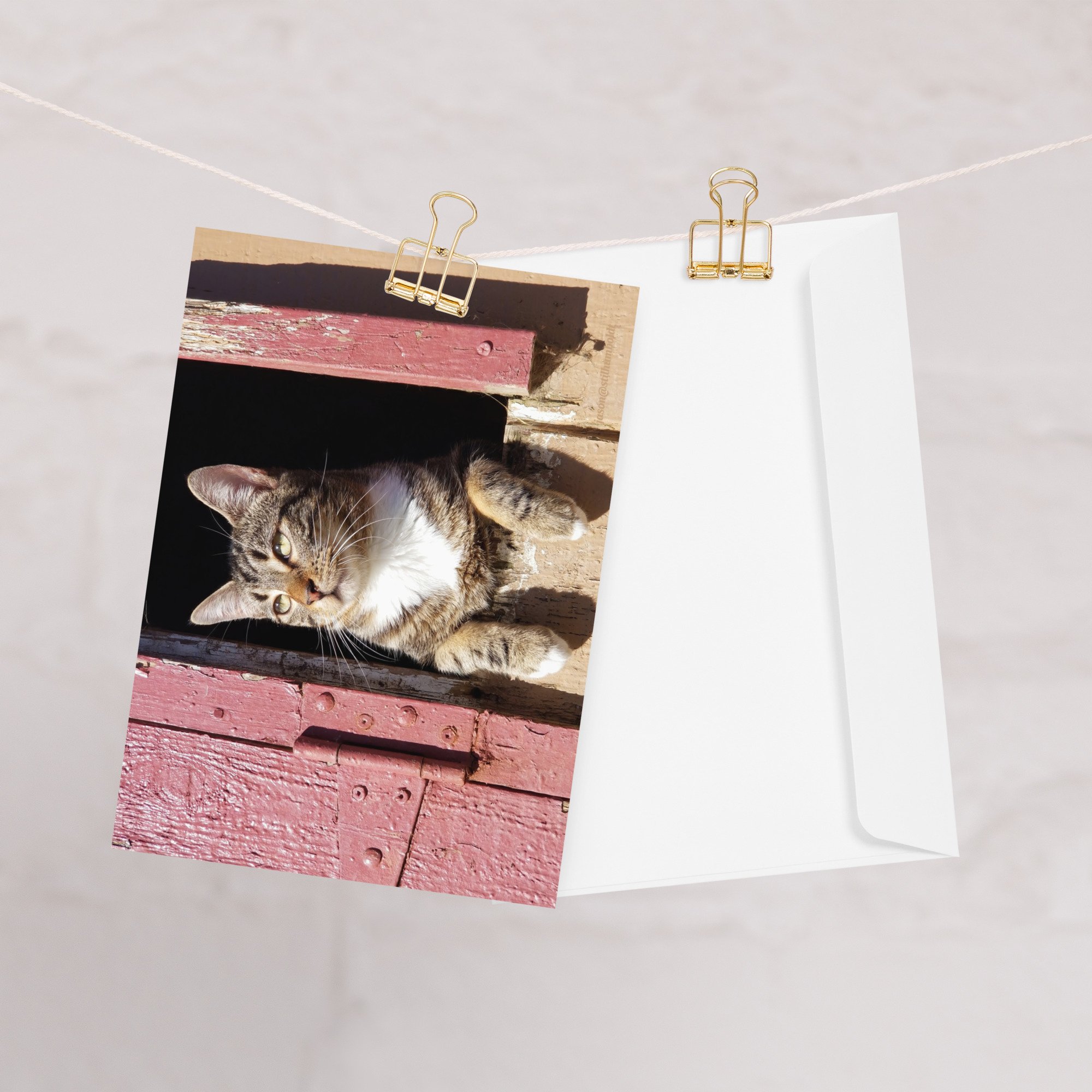 greeting-card-5x7-front-65a26c2e37b10.jpg