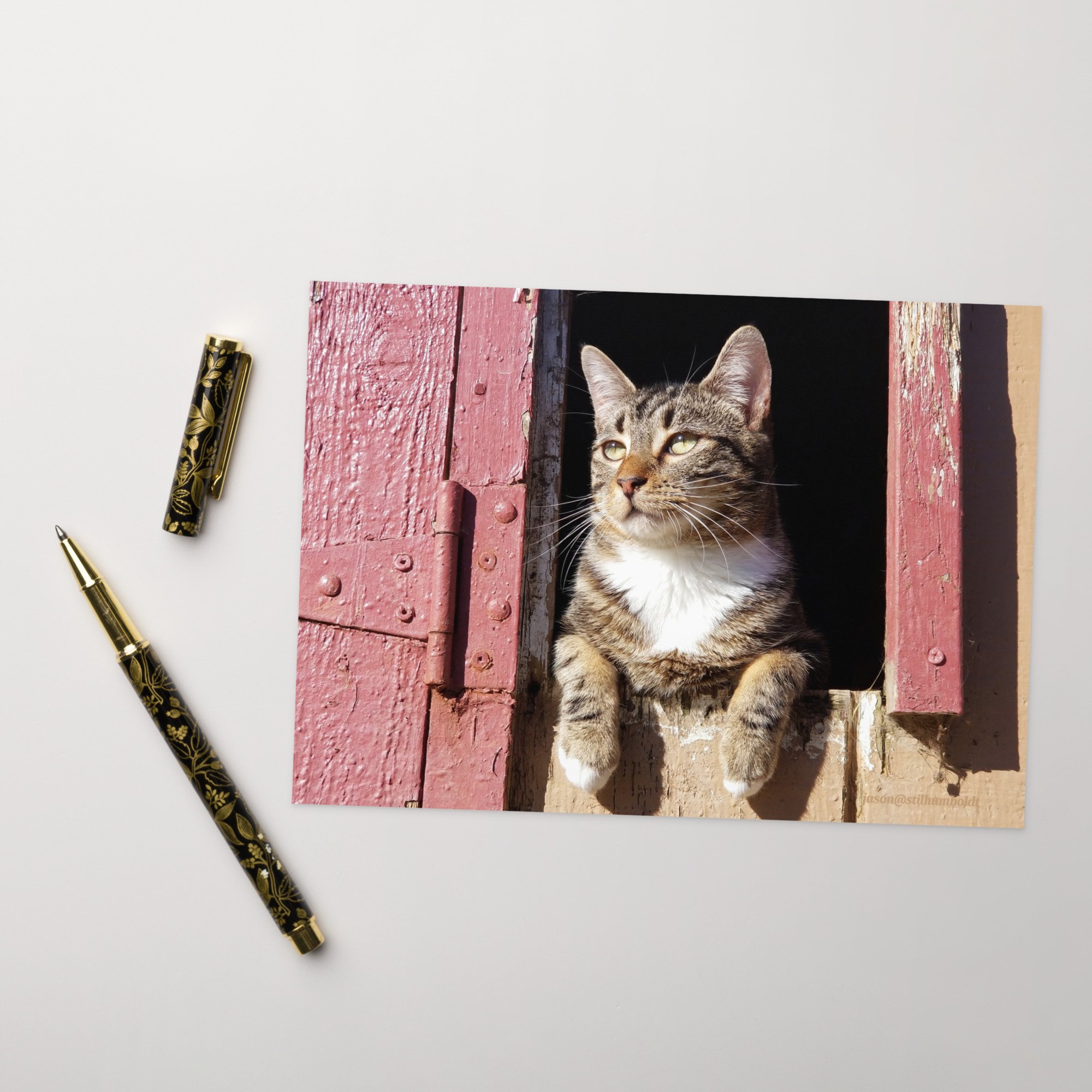 greeting-card-5x7-front-65a26c2e37c78.jpg