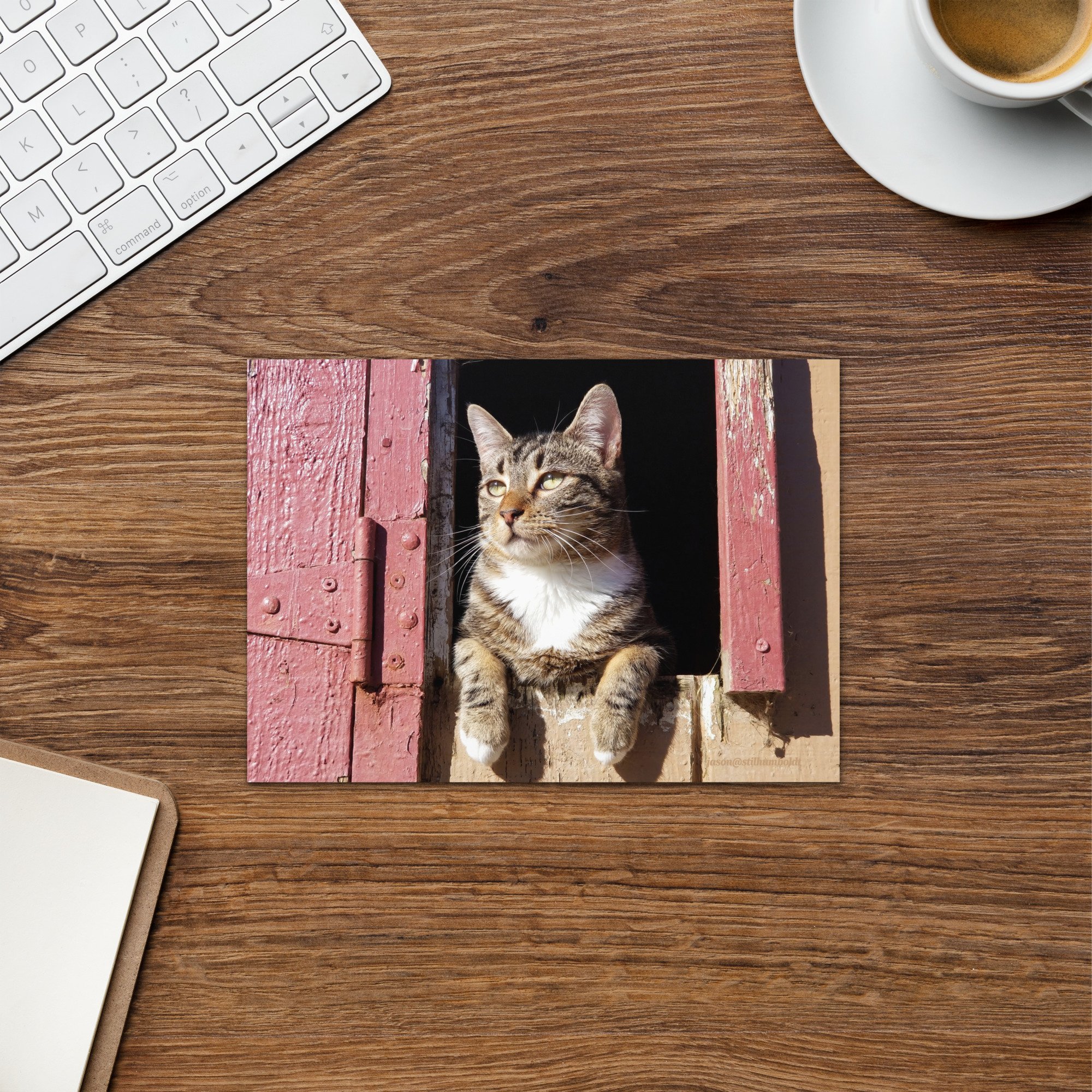 greeting-card-5x7-front-65a26c2e37bf9.jpg