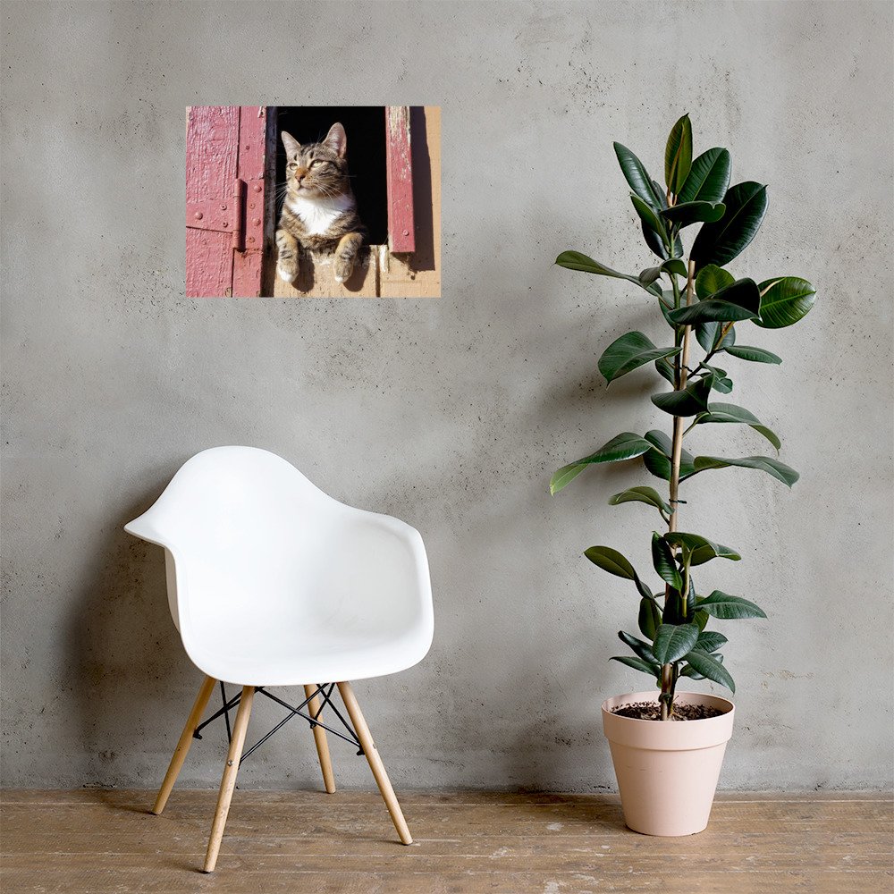 premium-luster-photo-paper-poster-(in)-18x24-lifestyle-1-65a26c6a0a117.jpg