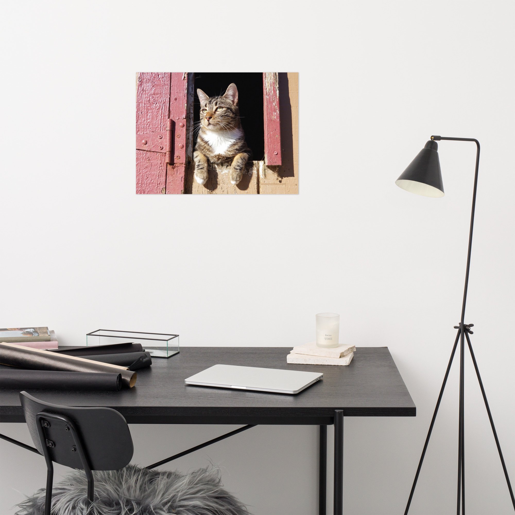 premium-luster-photo-paper-poster-(in)-18x24-front-65a26c6a0a034.jpg