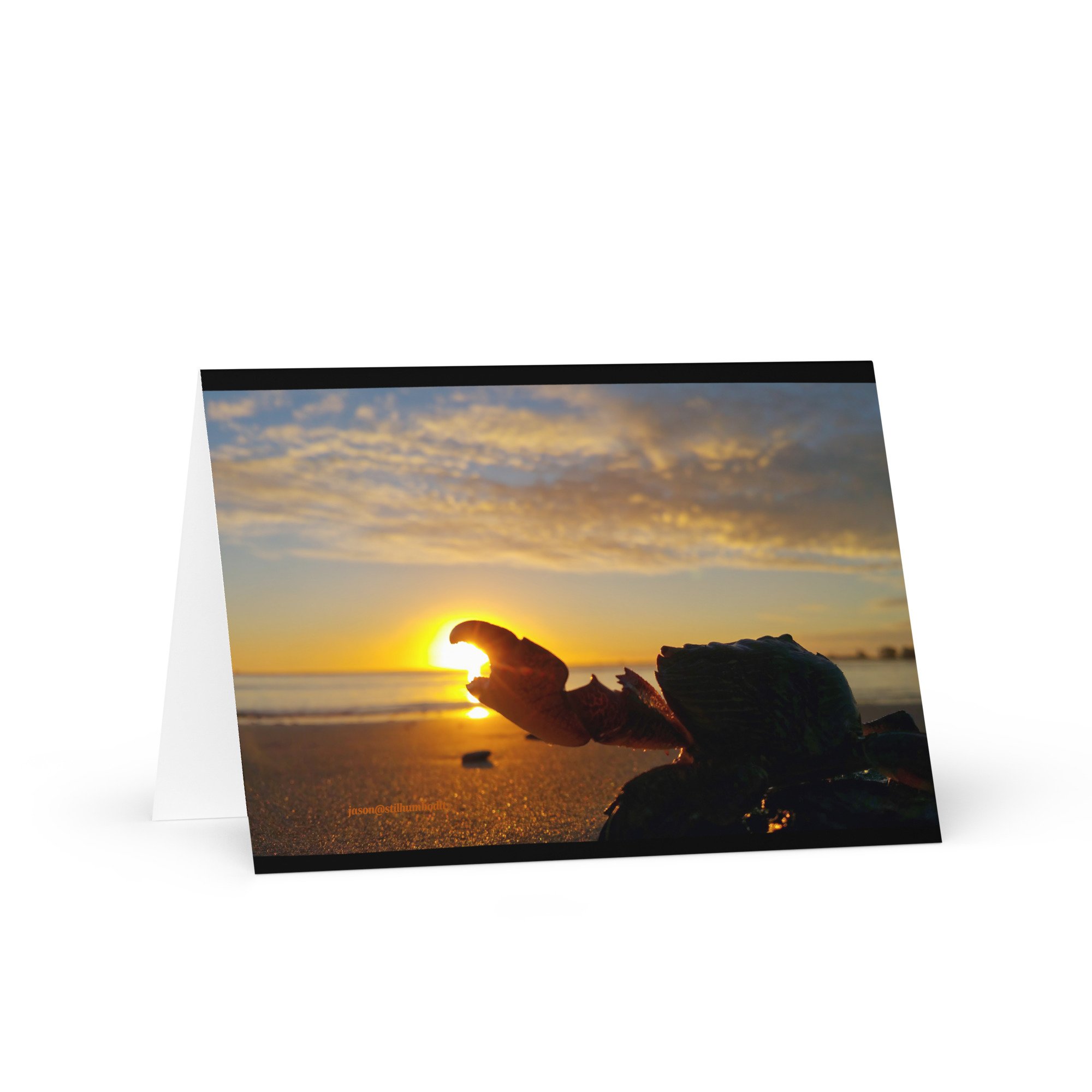 greeting-card-5x7-front-65a63e00e8451.jpg