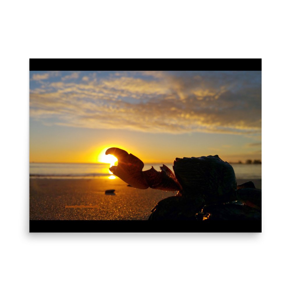 premium-luster-photo-paper-poster-(in)-18x24-front-65a63e0db1fd9.jpg