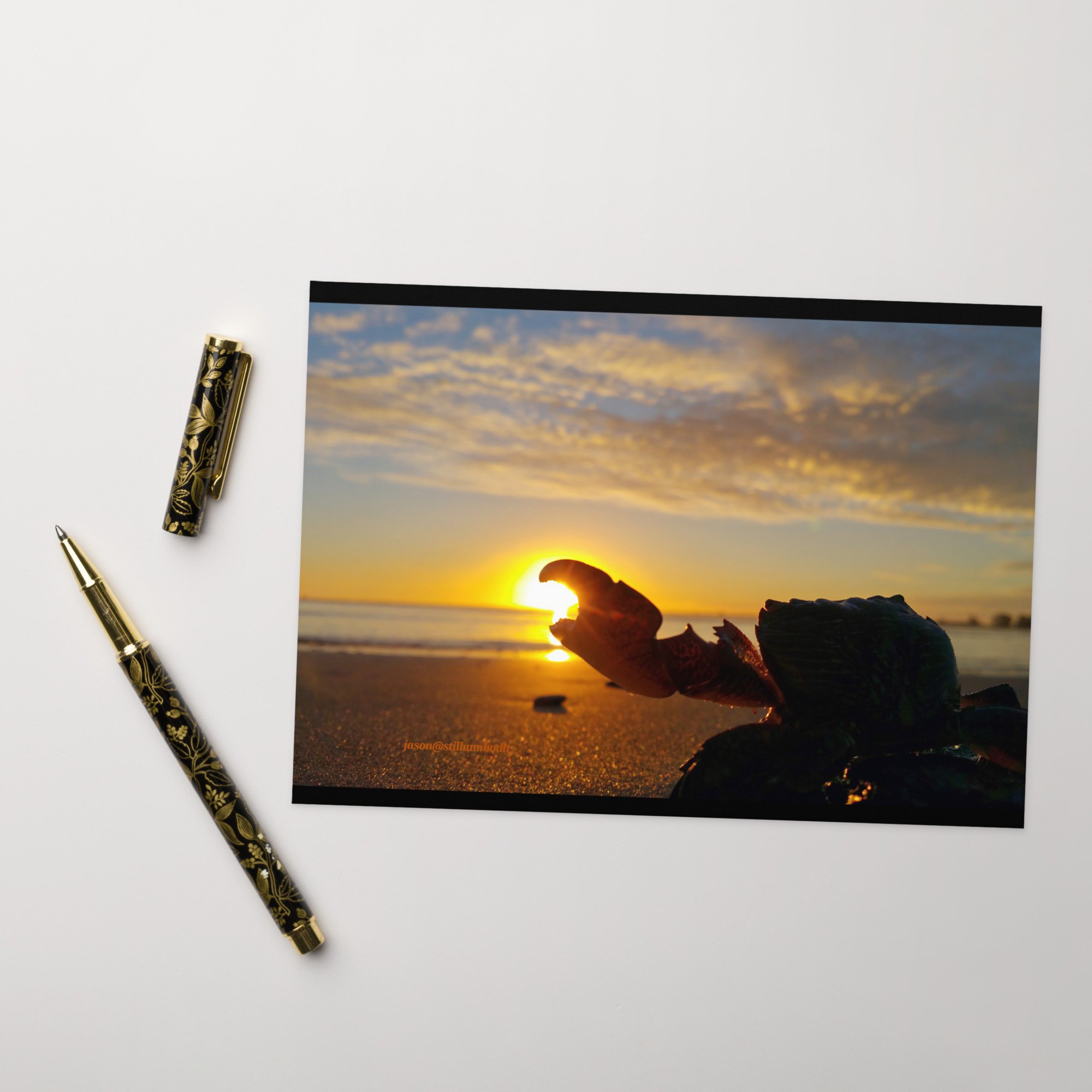 greeting-card-5x7-front-65a63503a27e5.jpg