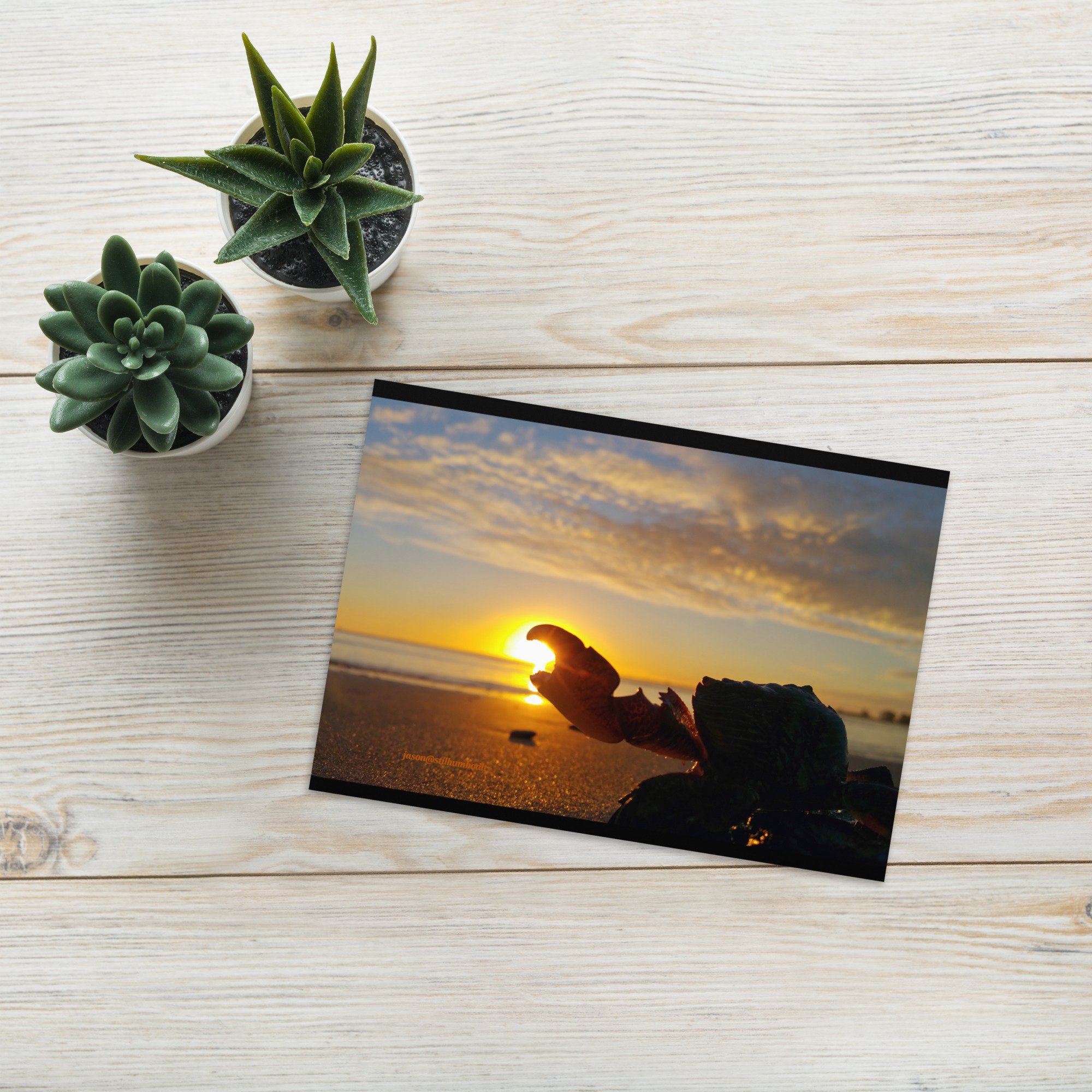 greeting-card-5x7-front-65a63503a275b.jpg