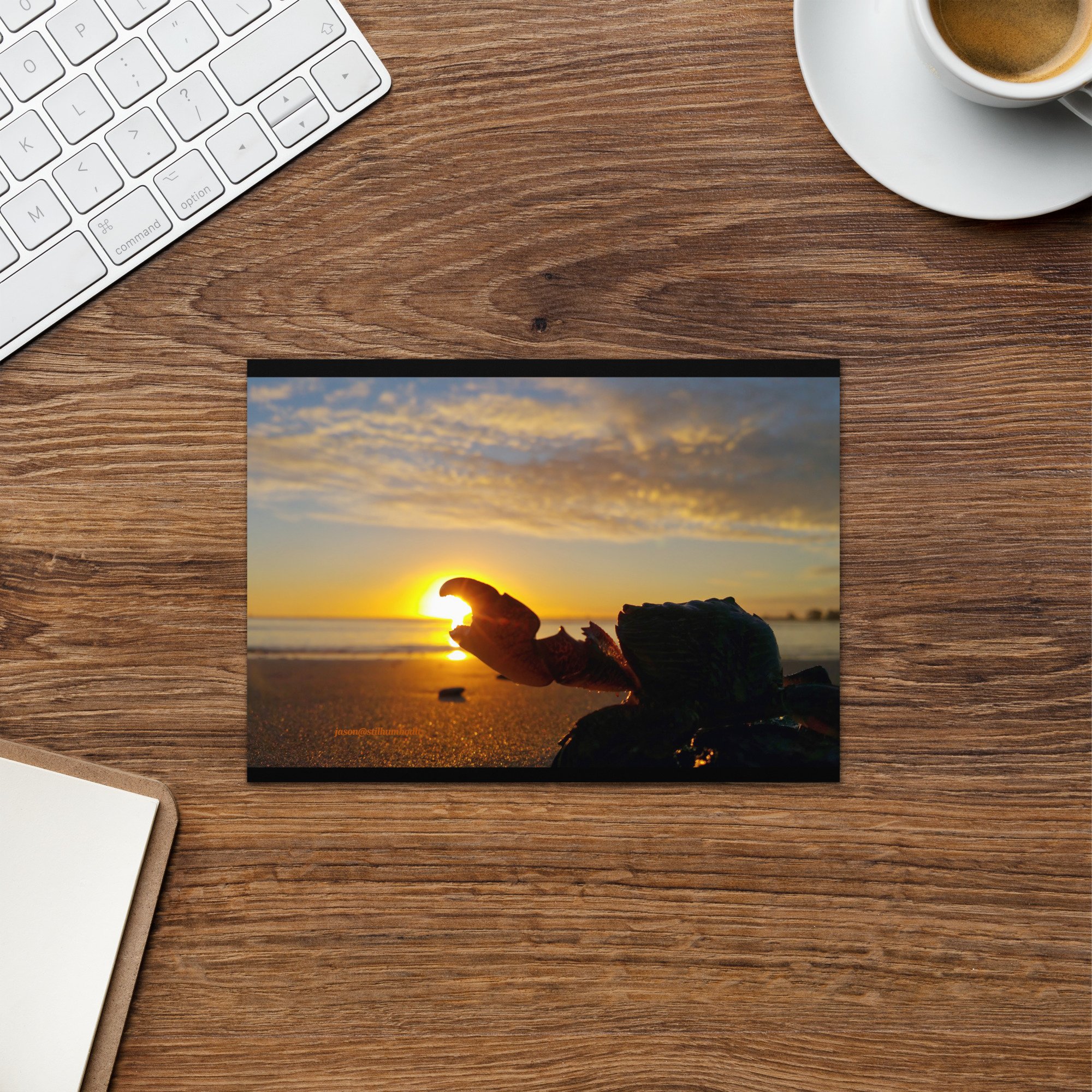 greeting-card-5x7-front-65a63503a26d8.jpg