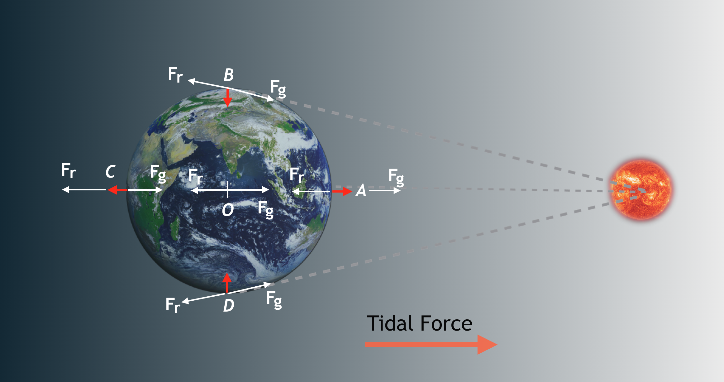 Artist’s impression of how tidal forces are generated in the Earth-Moon system