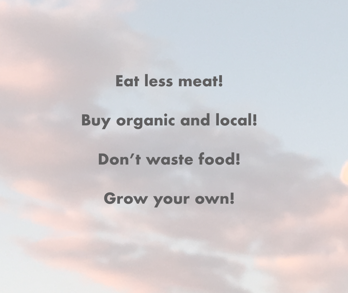 Screen Shot 2019-08-08 at 10.25.18 AM.png