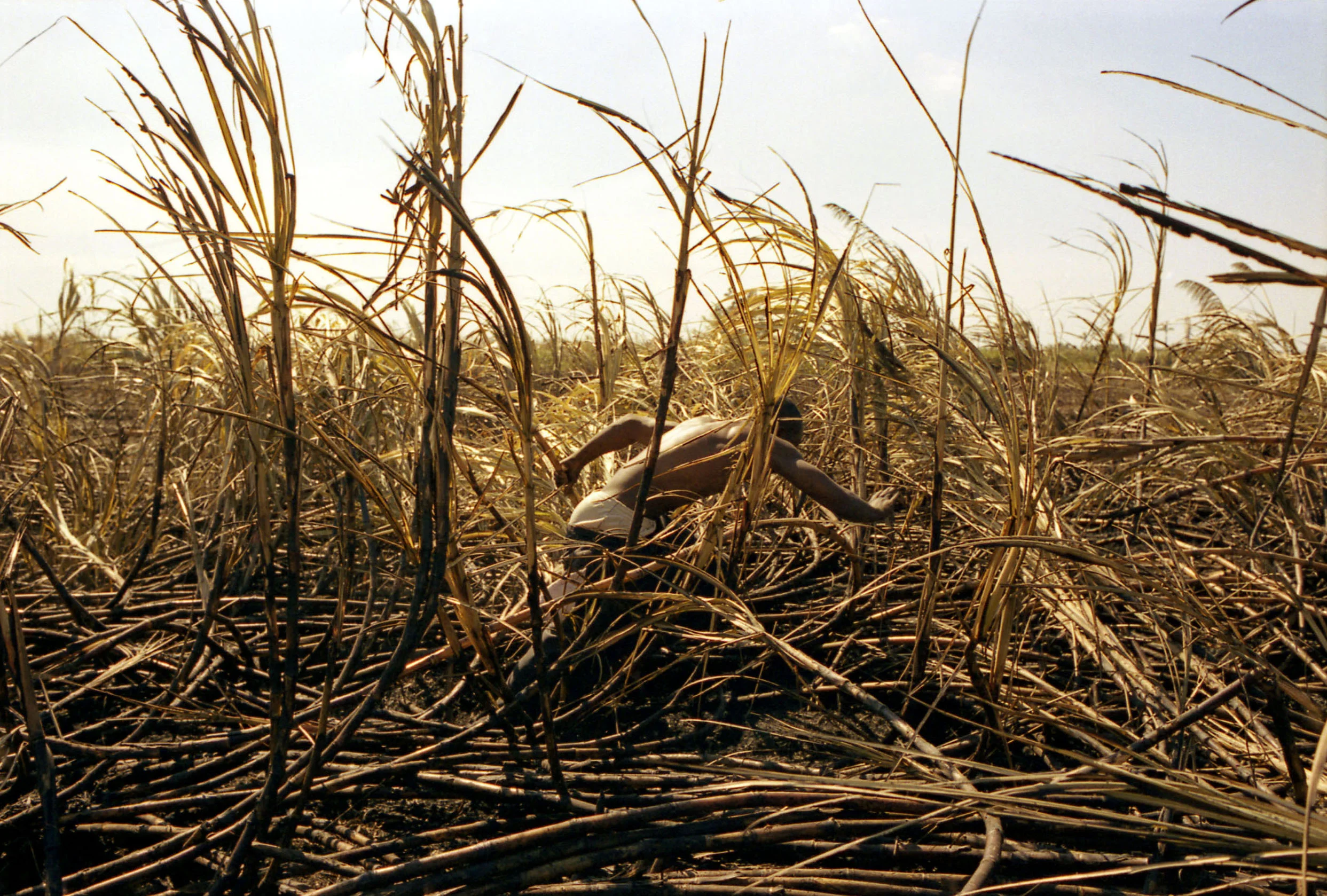 ColbyKatz-RabbitHunt0321.jpg