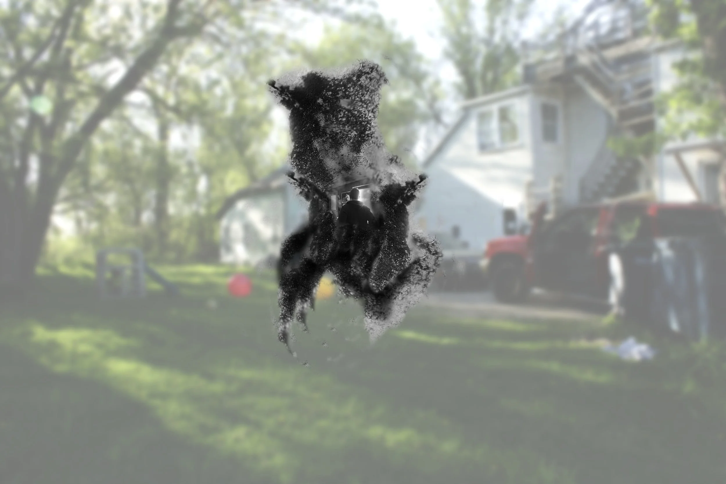 Backyard1.jpg